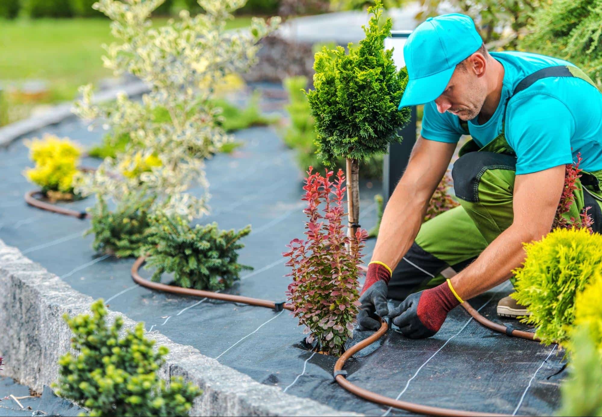 Expert Drainage Services in Springtown , TX with Customized Landscape Solutions