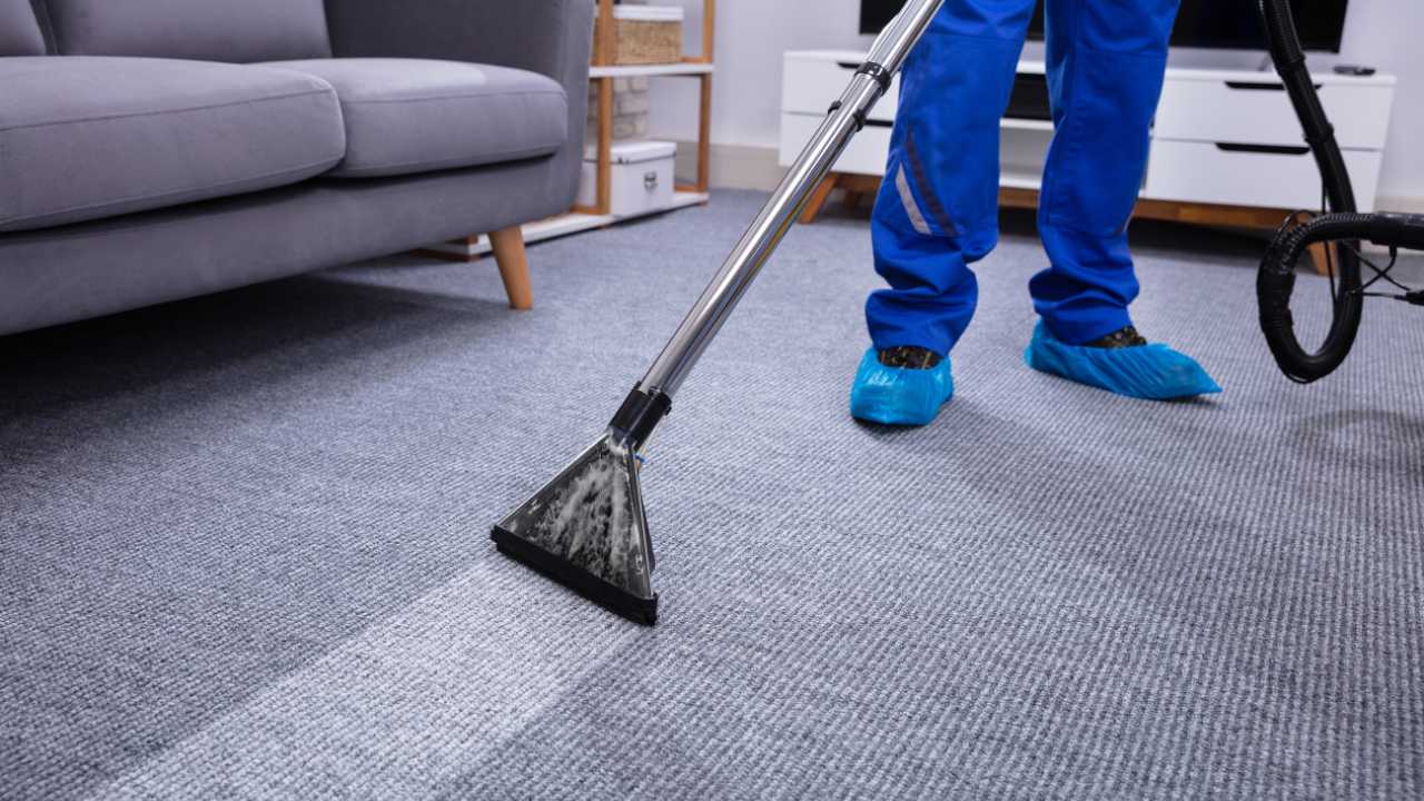 Dependable carpet cleaning buda tx Services Near You