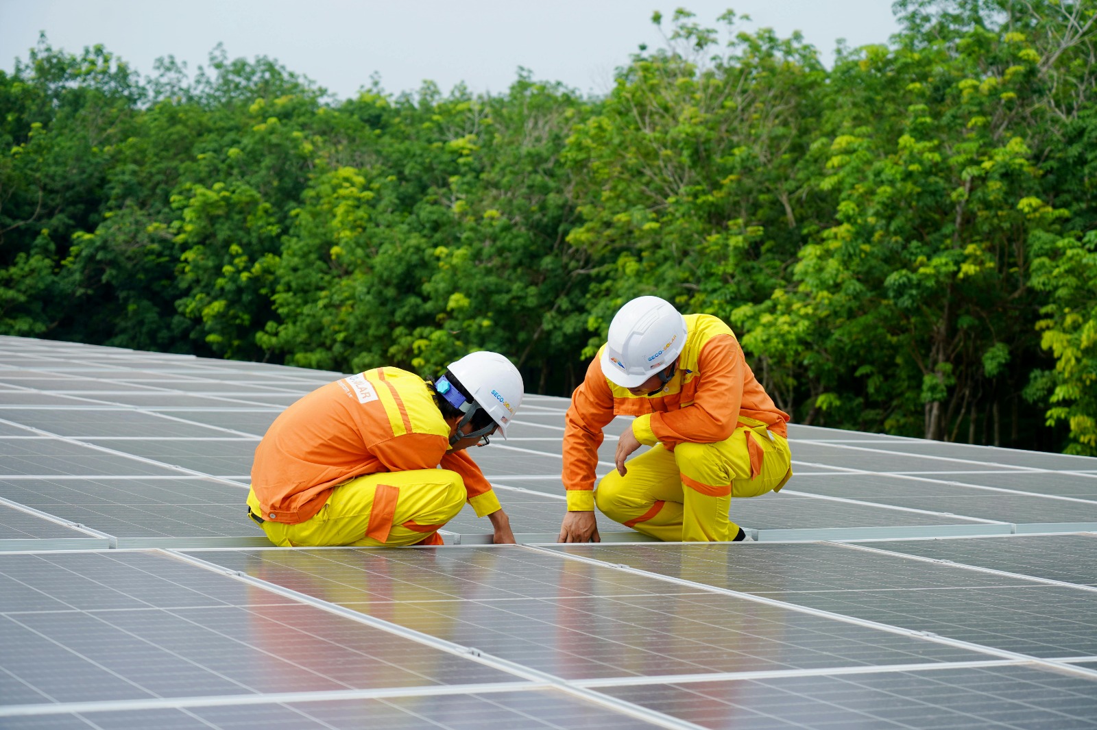 Reduce Bills with Solar Panel Installation Nottingham