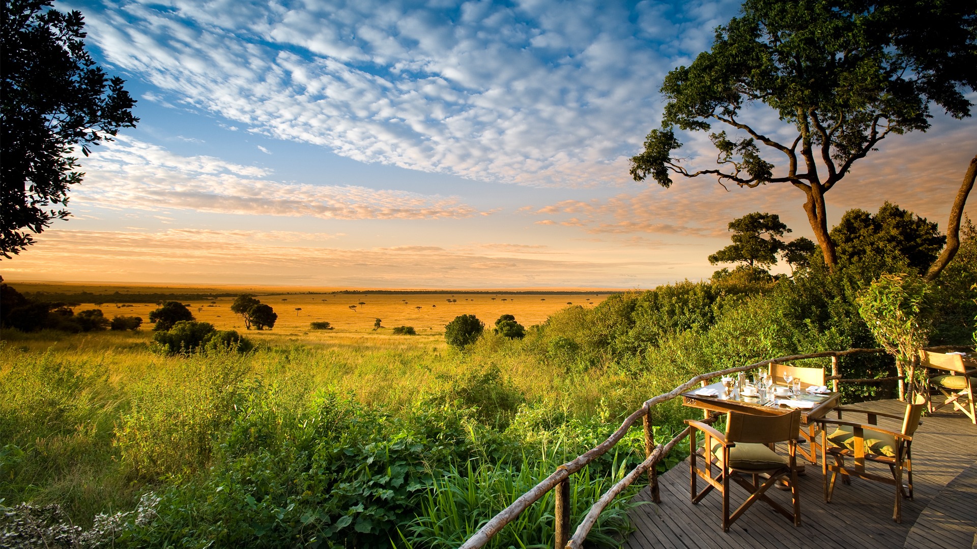 Kenya Safari Tours | Explore Africa’s Wildlife with Expert Guides