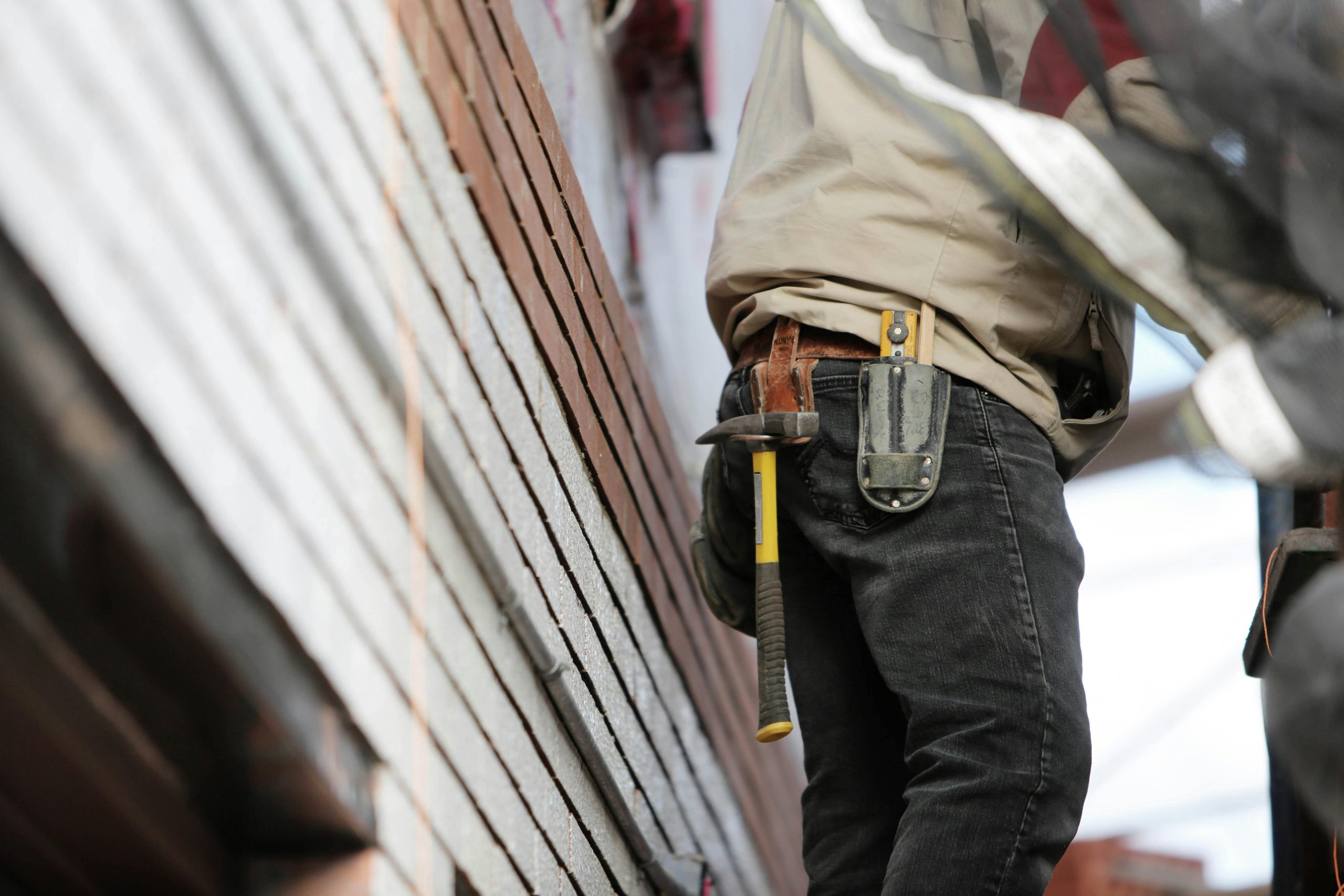 Painting Apprenticeship: Learn from Experts